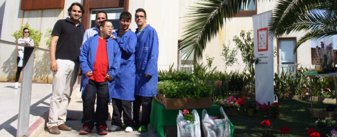 Mercadillo de plantas por una buena causa