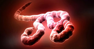 Ébola: una plaga contemporanea – Cartas del Dr. Boix – XX