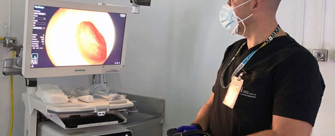 Detección precoz y hábitos de vida saludable contra el cáncer de colon